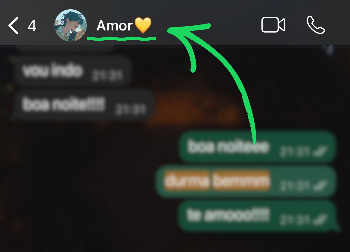 Entre na conversa desejada (iPhone)