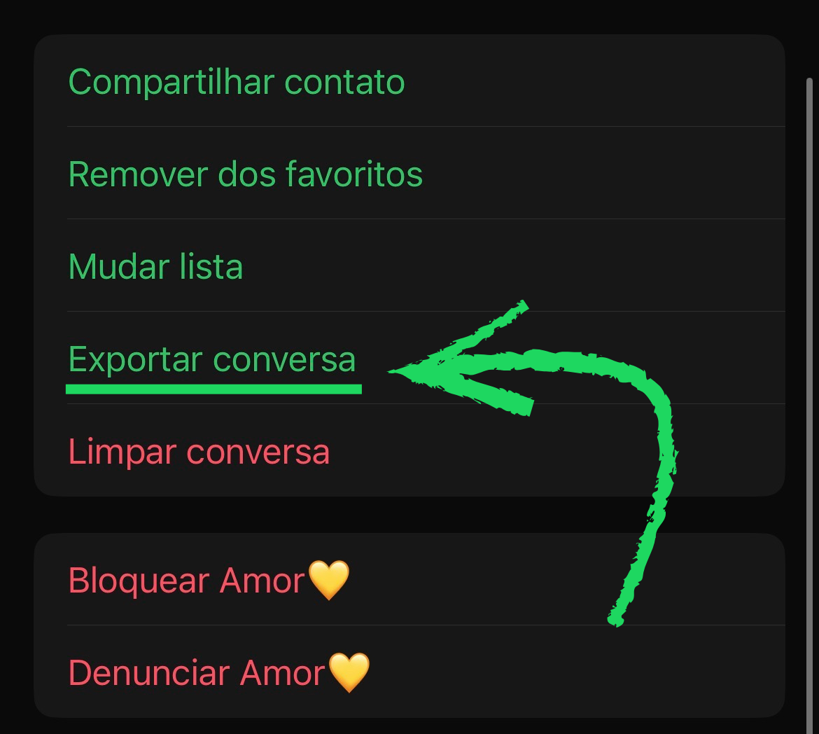Clique em Exportar conversa (iPhone)