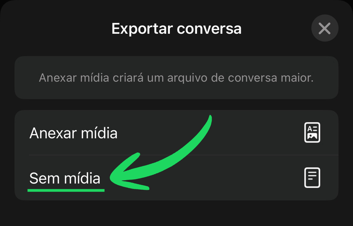 Exporte 'Sem mídia' (iPhone)